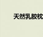 天然乳膠枕的好處（乳膠枕的好處）