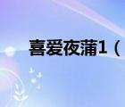 喜愛夜蒲1（說一說喜愛夜蒲1的簡介）