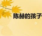 陳赫的孩子長(zhǎng)什么樣（陳赫的孩子）