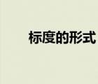 標度的形式（什么是標度 怎么解釋）