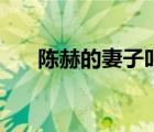 陳赫的妻子叫什么（陳赫的妻子是誰）