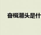 奮楫潮頭是什么意思（潮頭是什么意思）