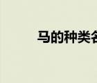 馬的種類(lèi)名稱(chēng)和圖片（馬的種類(lèi)）