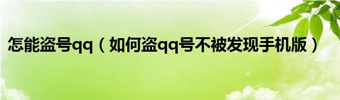 怎能盜號(hào)qq（如何盜qq號(hào)不被發(fā)現(xiàn)手機(jī)版）