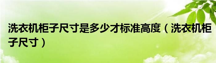 洗衣機(jī)柜子尺寸是多少才標(biāo)準(zhǔn)高度（洗衣機(jī)柜子尺寸）