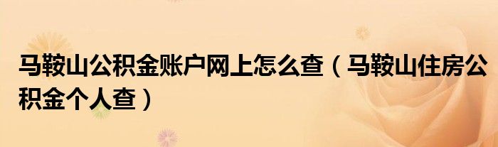 馬鞍山公積金賬戶網上怎么查（馬鞍山住房公積金個人查）