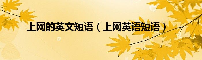 上網(wǎng)的英文短語(yǔ)（上網(wǎng)英語(yǔ)短語(yǔ)）