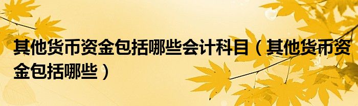 其他貨幣資金包括哪些會計科目（其他貨幣資金包括哪些）