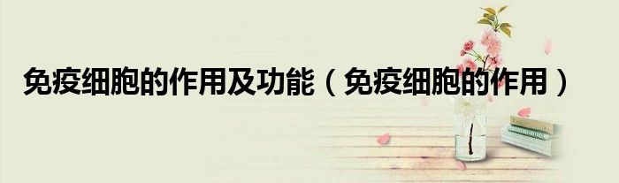 免疫細(xì)胞的作用及功能（免疫細(xì)胞的作用）