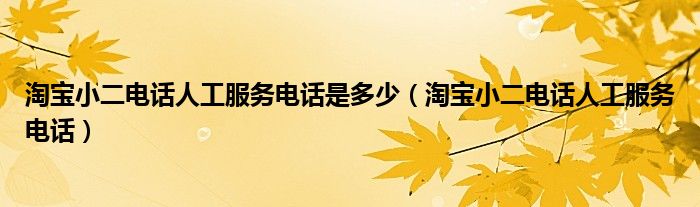 淘寶小二電話人工服務(wù)電話是多少（淘寶小二電話人工服務(wù)電話）