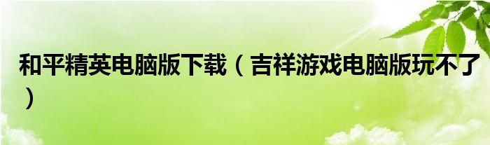 和平精英電腦版下載（吉祥游戲電腦版玩不了）