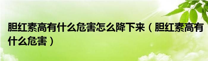 膽紅素高有什么危害怎么降下來(lái)（膽紅素高有什么危害）