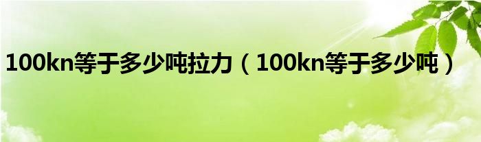 100kn等于多少噸拉力（100kn等于多少噸）