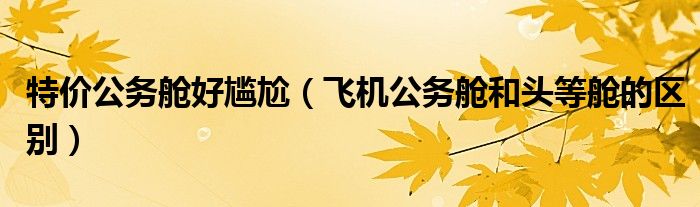 特價公務艙好尷尬（飛機公務艙和頭等艙的區(qū)別）