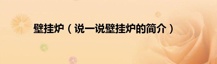 壁掛爐（說一說壁掛爐的簡介）
