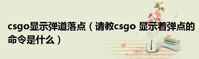csgo顯示彈道落點(diǎn)（請(qǐng)教csgo 顯示著彈點(diǎn)的命令是什么）