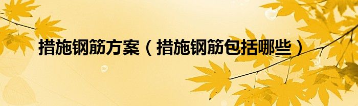措施鋼筋方案（措施鋼筋包括哪些）