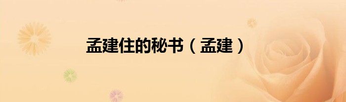 孟建住的秘書（孟建）