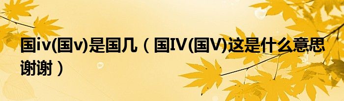 國iv(國v)是國幾（國IV(國V)這是什么意思 謝謝）