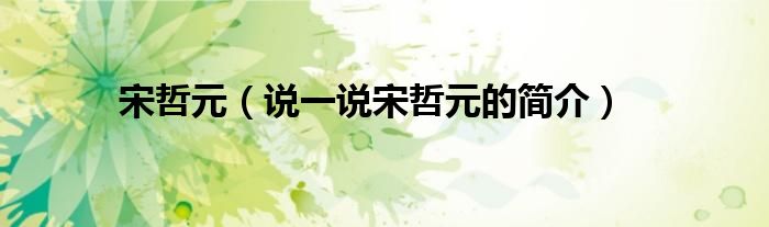 宋哲元（說一說宋哲元的簡介）