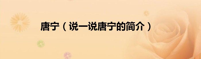 唐寧（說一說唐寧的簡介）