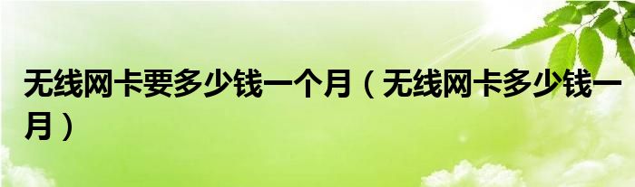 無線網(wǎng)卡要多少錢一個月（無線網(wǎng)卡多少錢一月）