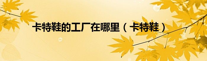 卡特鞋的工廠在哪里（卡特鞋）