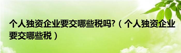 個人獨資企業(yè)要交哪些稅嗎?（個人獨資企業(yè)要交哪些稅）