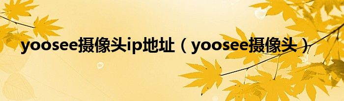 yoosee攝像頭ip地址（yoosee攝像頭）