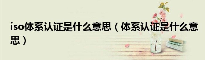 iso體系認(rèn)證是什么意思（體系認(rèn)證是什么意思）