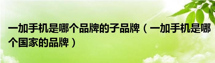 一加手機是哪個品牌的子品牌（一加手機是哪個國家的品牌）