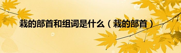 栽的部首和組詞是什么（栽的部首）