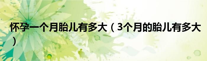 懷孕一個月胎兒有多大（3個月的胎兒有多大）