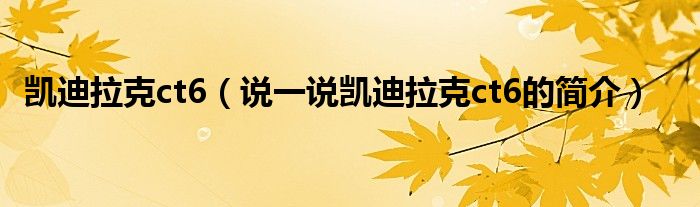 凱迪拉克ct6（說一說凱迪拉克ct6的簡介）