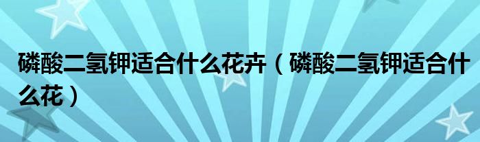 磷酸二氫鉀適合什么花卉（磷酸二氫鉀適合什么花）