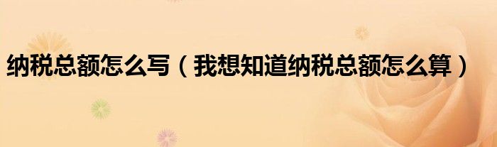 納稅總額怎么寫（我想知道納稅總額怎么算）