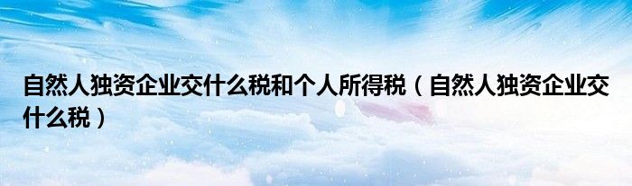 自然人獨資企業(yè)交什么稅和個人所得稅（自然人獨資企業(yè)交什么稅）