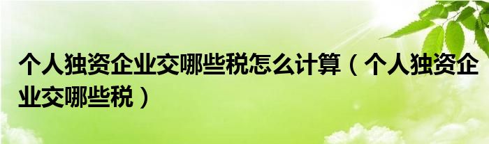 個人獨資企業(yè)交哪些稅怎么計算（個人獨資企業(yè)交哪些稅）