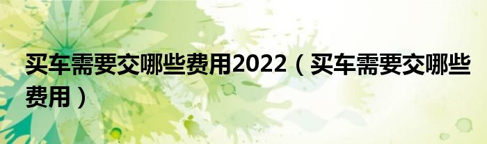 買車需要交哪些費用2022（買車需要交哪些費用）
