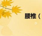 腰椎（說一說腰椎的簡介）