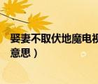 娶妻不取伏地魔電視劇名字叫什么（娶妻不娶伏地魔是什么意思）