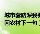 城市套路深我要回農(nóng)村動漫（城市套路深我要回農(nóng)村下一句）