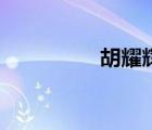胡耀輝研究生（胡耀輝）