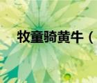 牧童騎黃牛（說一說牧童騎黃牛的簡(jiǎn)介）