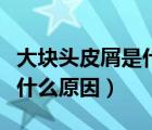 大塊頭皮屑是什么原因造成的（頭皮屑很大塊什么原因）
