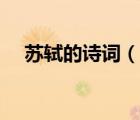 蘇軾的詩(shī)詞（說(shuō)一說(shuō)蘇軾的詩(shī)詞的簡(jiǎn)介）