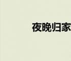 夜晚歸家的詩句（歸家的詩句）