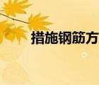 措施鋼筋方案（措施鋼筋包括哪些）