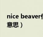 nice beaver什么意思（be nice中文是什么意思）