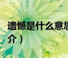 遺憾是什么意思（說一說遺憾是什么意思的簡(jiǎn)介）